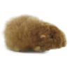 Alpaca Fur Guinea Pig